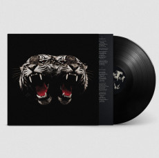 LP / Royal Blood / Dead Company / Vinyl