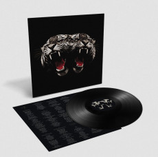 LP / Royal Blood / Dead Company / Vinyl