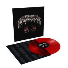 LP / Royal Blood / Dead Company / Transparent Red / Vinyl