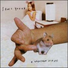 CD / Sonic Youth / A Thousand Leaves