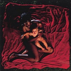 CD / Afghan Whigs / Congregation