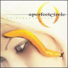 CD / Perfect Circle / Thirteenth Step