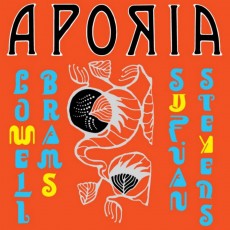 LP / Stevens Sufjan & Lowell Brams / Aporia / Vinyl / Coloured
