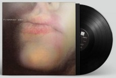 LP / Harvey PJ / Dry / Reedice / Vinyl