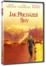 DVD / FILM / Jak pichzej sny / What Dreams May Come