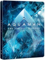 Blu-Ray / Blu-ray film /  Aquaman a ztracen krlovstv / Steelbook / Blu-Ray+DVD