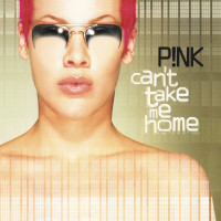 2LPPink / Can't Take Me Home / Vinyl / 2LP