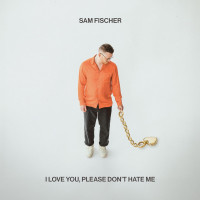 CDFischer Sam / I Love You,Please Don't Hate Me