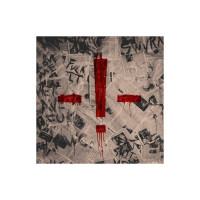 LPDead Poet Society / -!- / Vinyl / Coloured / Clear