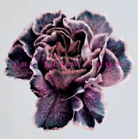 LPSlow Show / Still Life / Purple / Vinyl