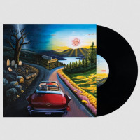 LPHaywire 617 / I Don't Wanna Say Goodbye / Vinyl