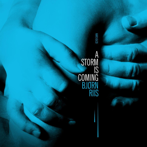 LP / Riis Bjorn / A Storm Is Coming / Vinyl