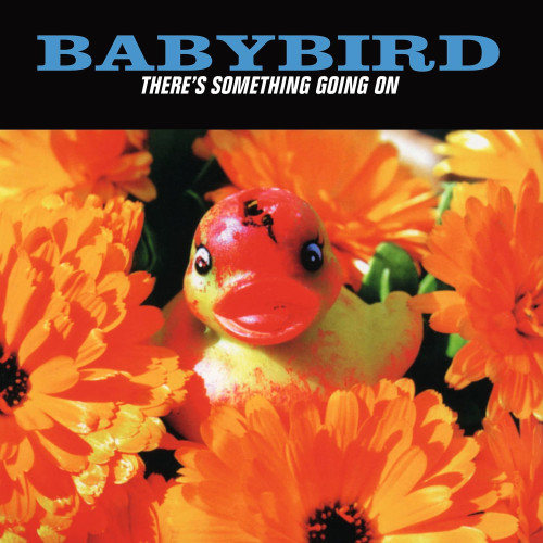 LP / Babybird / There's Something Going on / Turquoise / Vinyl