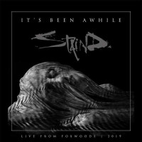 2LPStaind / It's Been Awhile / Vinyl / 2LP