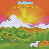 LPHeidicker Tim / Fear Of Death / Vinyl