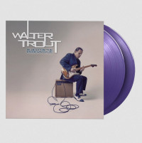 2LPTrout Walter / Blues For Modern Daze / Purple / Vinyl / 2LP