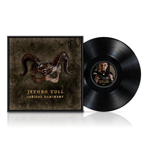 LP / Jethro Tull / Curious Ruminant / Vinyl