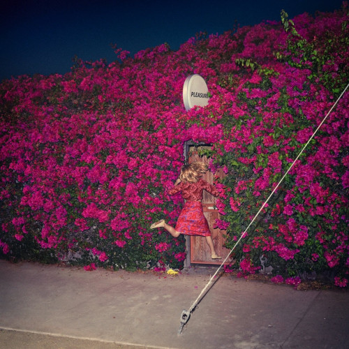 CD / Feist / Pleasure / Digipack