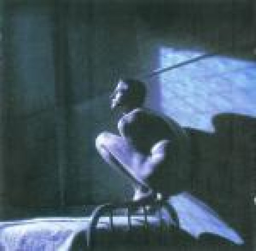 CD / Gabriel Peter / Birdy / OST