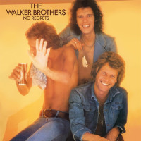 LPWalker Brothers / No Regrets / Coloured / Vinyl