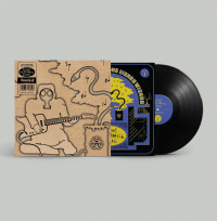 LPKing Gizzard & The Lizard Wizard / Flying Microtonal / Vinyl