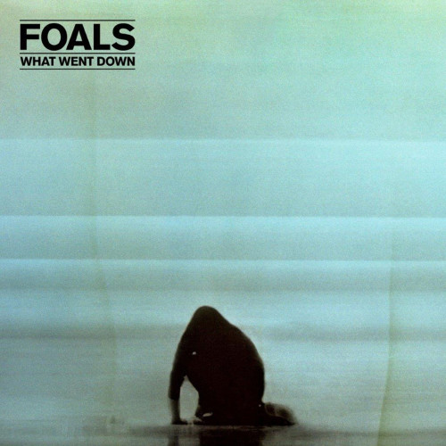 LP / Foals / What Went Down / Vinyl