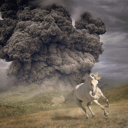 CD / White Buffalo / Year Of The Dark Horse