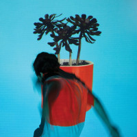 CDLocal Natives / Sunlith Youth