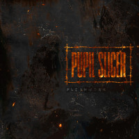 LPPupil Slicer / Fleshwork / Vinyl