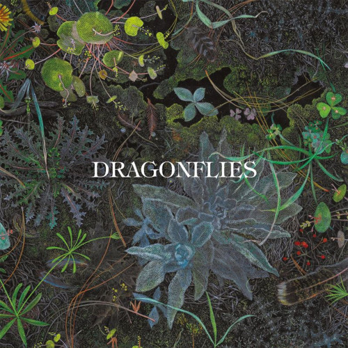 LP / Dragonflies / Dragonflies / Vinyl