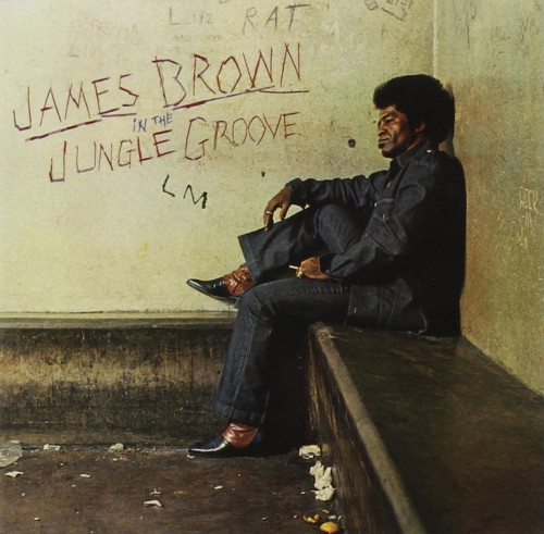 CD / Brown James / In The Jungle Groove
