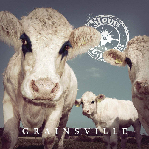 CD / Steve'n'seagulls / Grainsville / Digisleeve