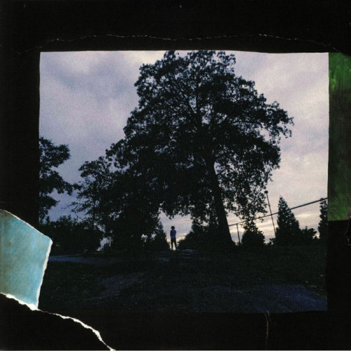 LP / Cole J. / 4 Your Eyes Only / Vinyl