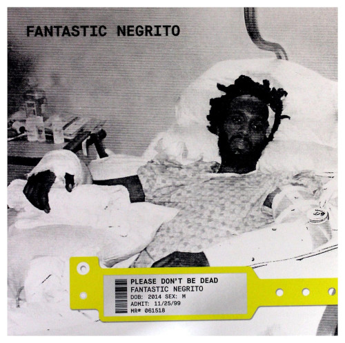 LP / Fantastic Negrito / Please Don't Be Dead / Vinyl