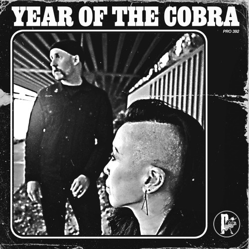 LP / Year Of Cobra / Year Of Cobra / Vinyl