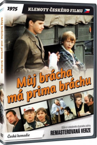 DVDFILM / M�j br�cha m� prima br�chu