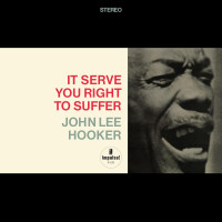 LPHooker John Lee / It Serves You Right To Suffer / Vinyl