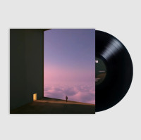 LPSG Lewis / Anemoia / Vinyl