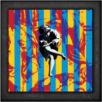 CD/BRDGuns N'Roses / Use Your Illusion I & II / Box / 7CD+Blu-Ray