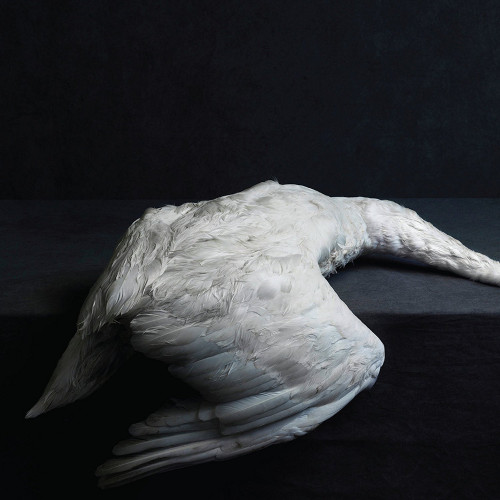 CD / Amenra / Mass VI