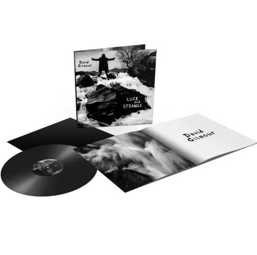 LP / Gilmour David / Luck and Strange / Vinyl