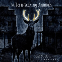 CDPattern-Seeking Animals / Only Passing Through / Digipack