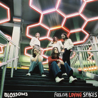 CDBlossoms / Foolish Loving Spaces