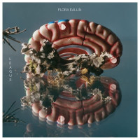 2LPLeagus / Flora Eallin / Vinyl / 2LP