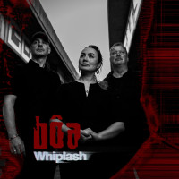 LPBoa / Whiplash / Vinyl