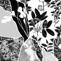 CDPonctuation / Mon Herbier Du Monde Entier