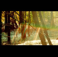 CDChildish Gambino / Camp