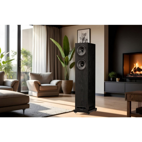 HIFI / HIFI / Repro sloupov�:Fyne Audio-F501E / Black Ash / 2ks