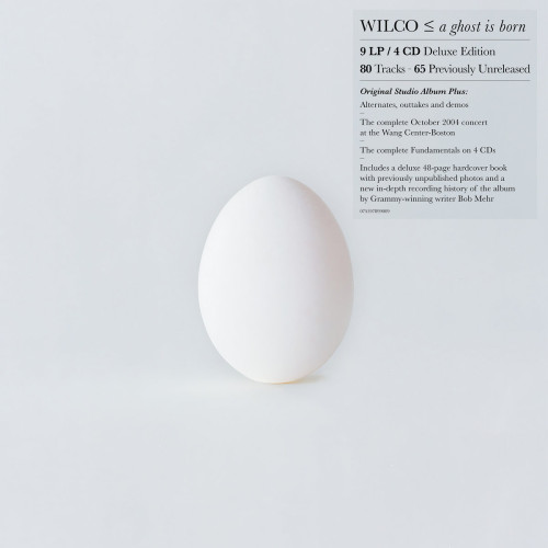 LP/CD / Wilco / Ghost Is Born / Box / Vinyl / 9LP+4CD