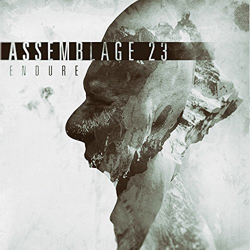 CD / Assemblage 23 / Endure